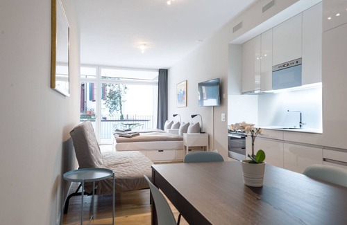 Basel City Centre Apartment | BS Hodler I - Marktplatz Hitrental Apartment