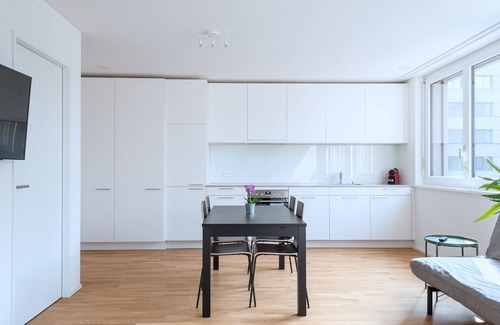 Basel City Centre Apartment | BS Owl III - Messe HITrental Apartment