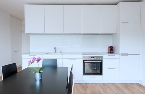Basel City Centre Apartment | BS Wolf IV - Messe HITrental Apartment