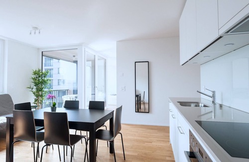 Basel City Centre Apartment | BS Wolf IV - Messe HITrental Apartment