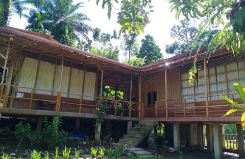 Batang Serangan House | Bua Guesthouse Tangkahan