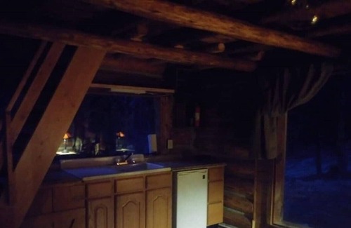 Kila Cabin | Buck Ridge Log Cabin Wild game everywhere