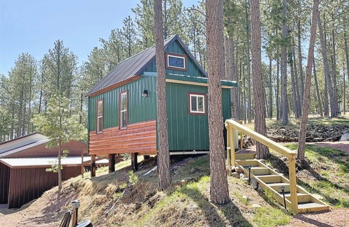 Custer House | Buckhorn Lookout | 1 Bed, 1 Bath
