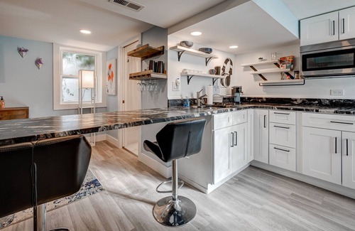 Bucktown Condo | Bucktown Beauty! Pet friendly and (Secret) Space for the Whole Group by RedAwning