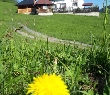 Breaza House | Bucovina mea