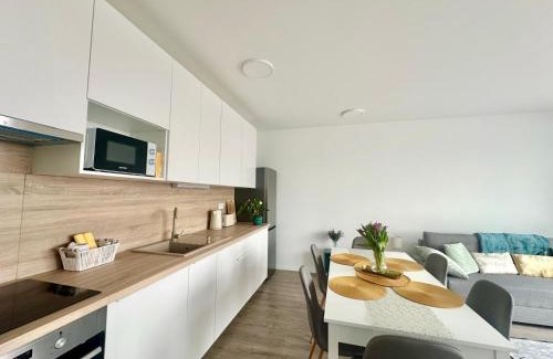 Bekasmegyer Apartment | BudaBright 192 I freeparking