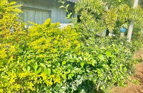 Ukuwela Hotel | Buddika lakruwan batuwita