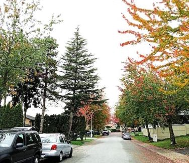 Cloverdale House | Budget Cozy Room in a Walkout Basement- Great Location in Surrey- Langley-10 Min C4
