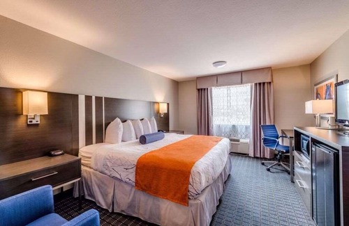 Lexington Hotel | Budget-Friendly Property, Free Breakfast, Onsite Pool, Free Parking
