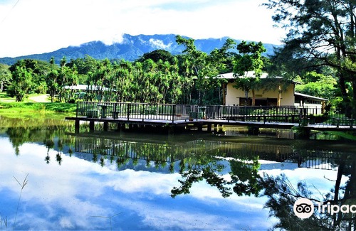 Canas Dulces Hotel | Buena Vista del Rincon Eco Adventure Park, Hotel & Spa