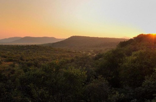 Madikwe Game Reserve Cabin | Buffalo Ridge Safari Lodge