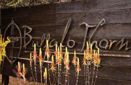 Matlhagame Cabin | Buffalo Thorn Lodge