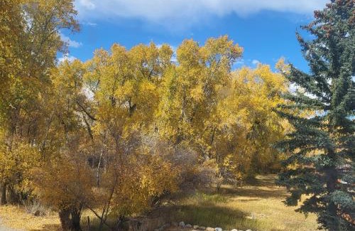 Buena Vista Bed & Breakfast | BuffaloPeaks Lodge