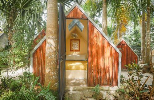 Buenavista Hotel | Bufo Alvarius Sanctuary Bacalar