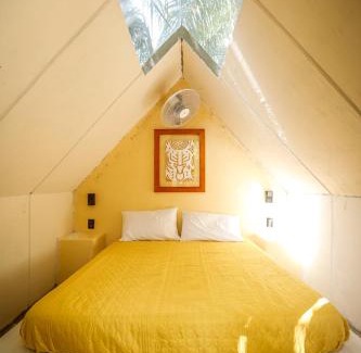 Buenavista Hotel | Bufo Alvarius Sanctuary Bacalar