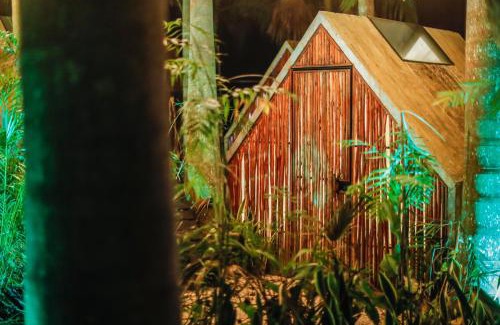 Buenavista Hotel | Bufo Alvarius Sanctuary Bacalar