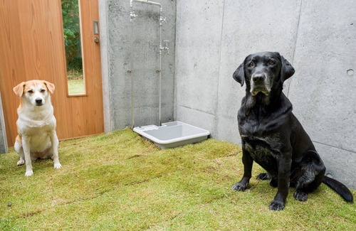 Kominato Onsen House | Building A Pets allowed SuiteWith pool terrace and sauna/Kamogawa City Chiba