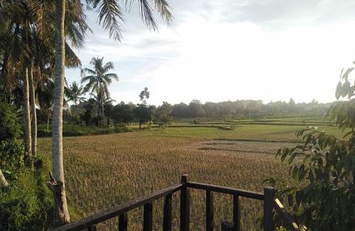 Kecamatan Kopang Bed & Breakfast | Bujak Permai Avocado Bungalow