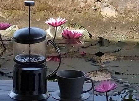 Batukliang Bed & Breakfast | Bujak Permai Villa Kangkung