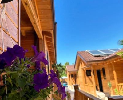 Pogradec House | Bujtina SIAR