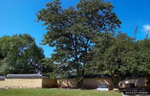 Andong Bed & Breakfast | Bukchondaek