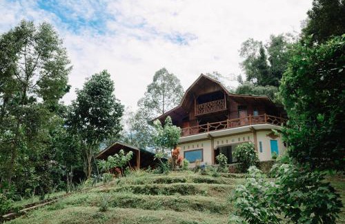 Bohorok House | Bukit Lawang Batu Kapal Rimba House