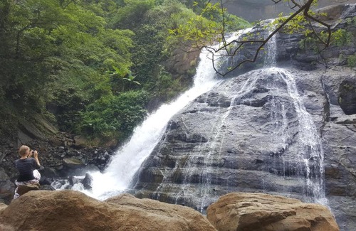 Java Other | Bukit Soca Family Camping Ground