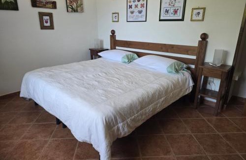 Celle di Bulgheria Bed & Breakfast | Bulgheriabeb