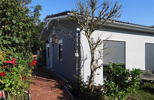 Seeheilbad Graal-Muritz House | Bungalow with garden - Bungalow