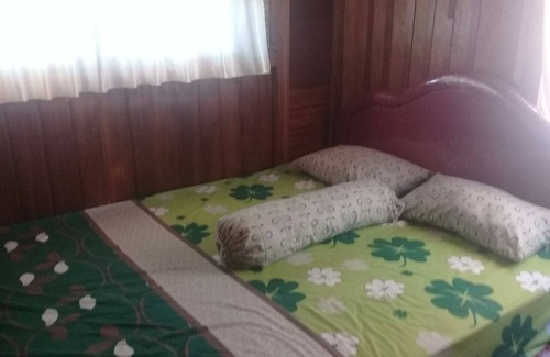Airmadidi House | Bunga Matahari