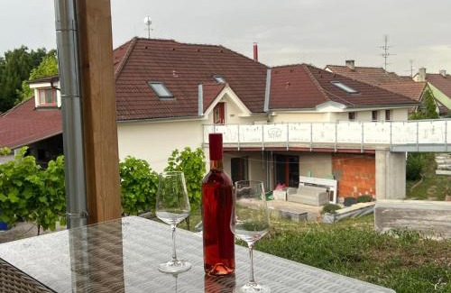 Kucharovice Apartment | Bungalov SOLARIS - Kuchařovice u Znojma