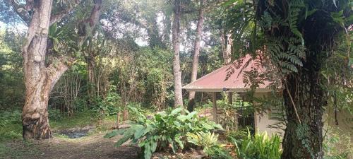 Sarramea Cabin | Bungalow Évasion 6