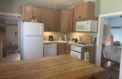 Twin Lakes House | Bungalow 1880's with Stunning views of Colorado's fourteeners and pet friendly