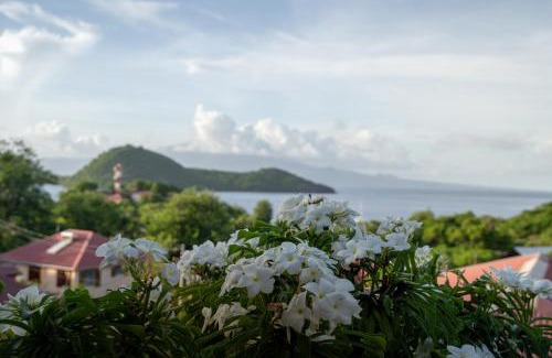 Terre-de-Haut Apartment | Bungalow Anse Figuier