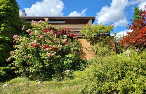 Murchin House | Bungalow by the lake in the nature reserve near the island of Usedom