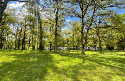Saint-Laurent Other | Bungalow Hermès