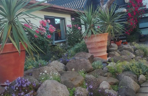 Dierkow-West Apartment | Bungalow - Holiday bungalow 1