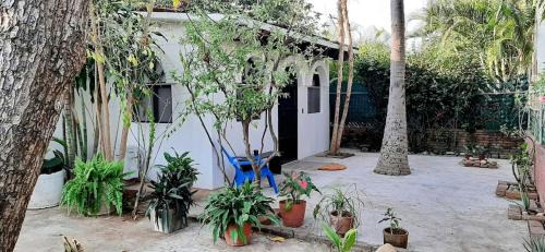 Bacocho Apartment | Bungalow Zyan área Bacocho Starlink