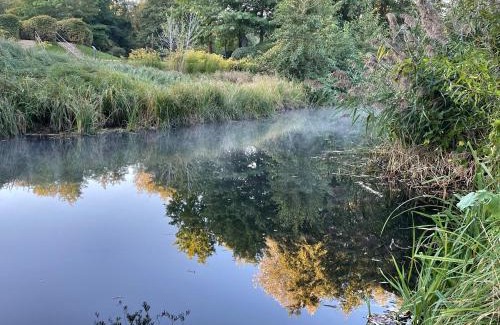 Lubben Apartment | Bungalowdorf Lübben