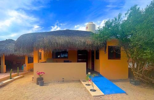 Cabo Pulmo Other | Bungalows Cabo Pulmo