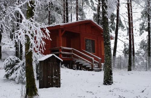 Melgaco House | Bungalows da Peneda