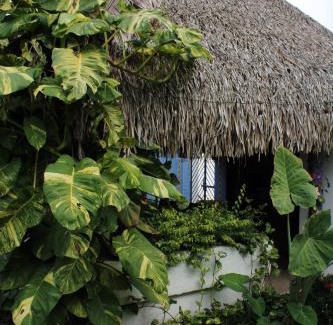 Lo de Marcos Hotel | Bungalows Las Tortugas