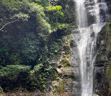 Jalancagak Resort | Bunihayu Forest