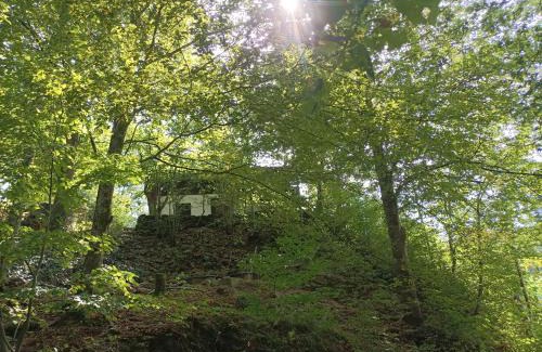 Iggensbach House | Burgberg Schöllnstein