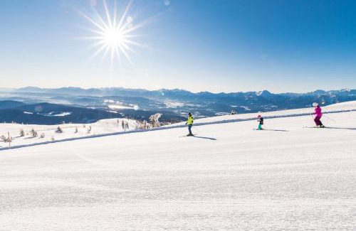 Landskron Apartment | Burgblick Villach Haus FUX-immo, 10min zum Skifahren, 10 min zum See, rundherum Wandern und Radeln