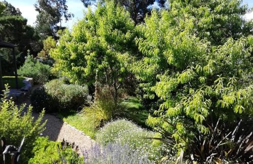 Burra House | Burra Hills