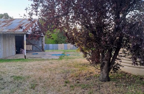 Burra Other | Burra Huge Backyard