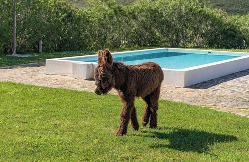Portimao House | Burro Ville - Spacious Houses w/Pool