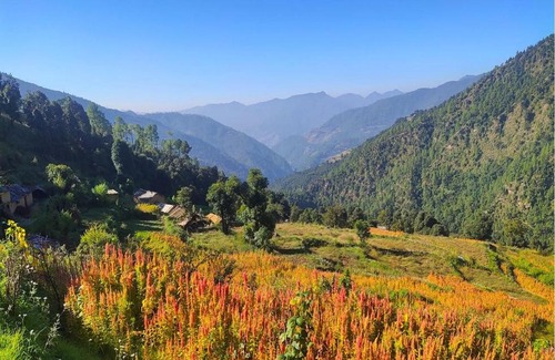 Chamoli House | Bursol Homestay by StayApart
