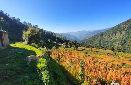 Chamoli House | Bursol Homestay by StayApart